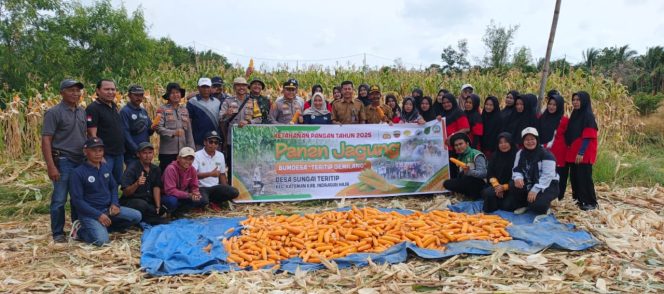 
					Panen Jagung Sungai Teritip, Langkah Nyata Dukung Asta Cita Presiden