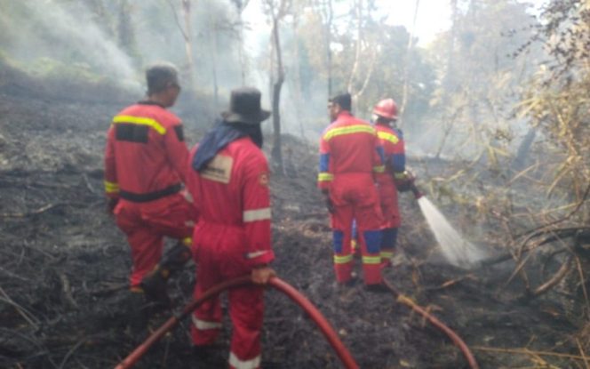 
					Dua Titik Kebakaran Landa Singkep Barat Lingga, 15 Hektare Kebun Hangus