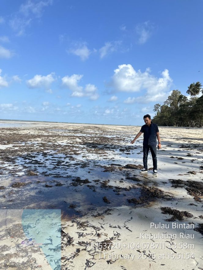 
					Pantai Trikora Kembali Dilumuri Limbah Minyak, Negara Dituding Abai Kejahatan Laut Berulang