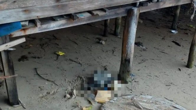 
					Warga Lingga Geger Penemuan Kerangka Mirip Manusia di Desa Sekanah