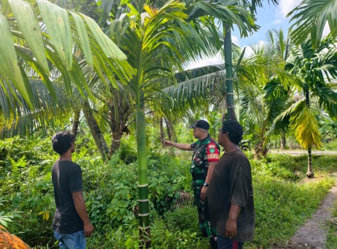 
					Patroli Tapal Batas Koramil 06/KTM Pastikan Wilayah Desa Tunggal Rahayu Jaya Aman dari Karhutla