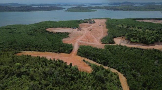 
					Penimbunan Mangrove Piayu Laut Masuk Hutan Lindung?