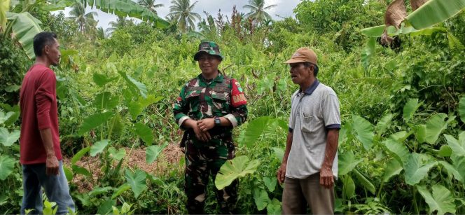 
					Patroli Tapal Batas di Amal Bakti, Babinsa Koramil 06/KTM Pastikan Wilayah Aman dari Karhutla