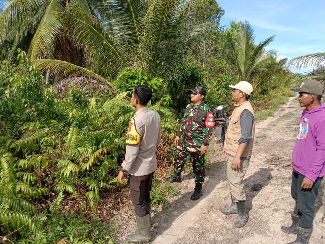 
					Patroli Gabungan Tapal Batas Kateman Nihil Titik Api, Situasi Terkendali