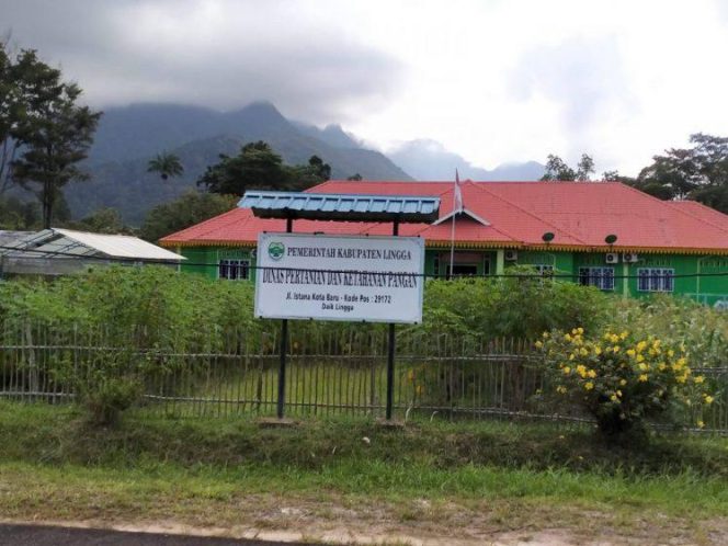 
					Kabid Pertanian di DPKP Lingga Diduga Hampir 6 Bulan Tak Ngantor