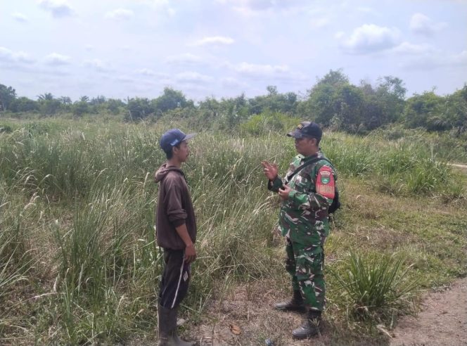 
					Babinsa Koramil 06/Kateman Intensifkan Patroli Karhutla di Sumber Jaya, Titik Api dan Asap Nihil