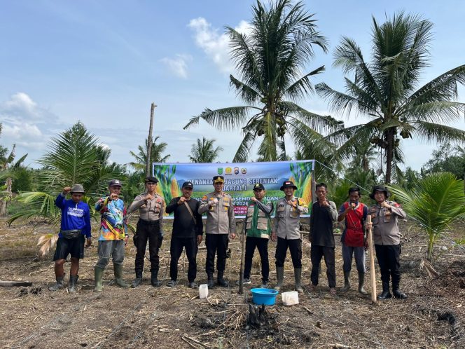 
					Sinergi Polri dan Petani di Kateman, Penanaman Jagung Hibrida Perkuat Ketahanan Pangan