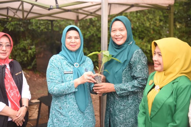 
					Ketua TP PKK Kepri Dewi Kumalasari menyerahkan bantuan bibit secara simbolis sempena peluncuran penyerahan bantuan bibit cabai kepada masyarakat. Penyerahan dilaksanakan di UPTD Balai Perbenihan, Pengawasan dan Sertifikasi serta Perlindungan Tanaman, Hortikultura dan Perkebunan KP2KH Kepri, Tembeling, Bitan, Senin (27/4/2026). 