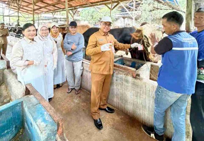 
 Jelang Iduladha, Ribuan Hewan Kurban Berlabel SL Dipastikan Sehat dan Aman