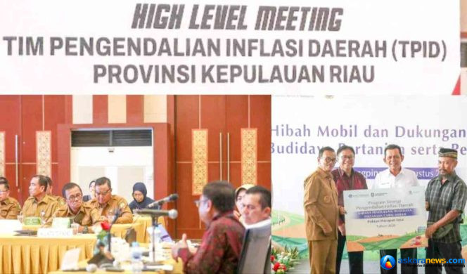 
 Wawako Raja Ariza Hadiri High Level Meeting TPID Kepri, Dorong Penguatan Sinergi Pengendalian Inflasi