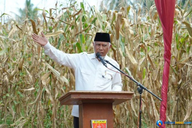 
 Gubernur Mahyeldi Dorong Pertanian Sumbar Berbasis Smart Farming