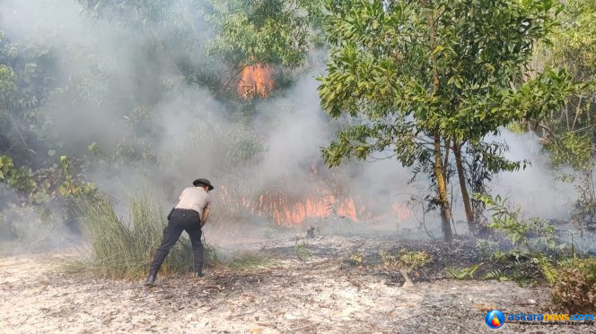 
 Lahan Kosong di Pulau Sekanak Terbakar, Polisi dan Warga Bergerak Padamkan Api