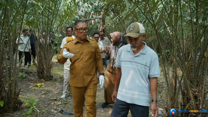
 Wagub Kepri Nyanyang Haris Pratamura melakukan kunjungan lapangan di Perkebunan Salak Sari Intan, Gesek, KM 25, Bintan, Senin (12/10/2026). 