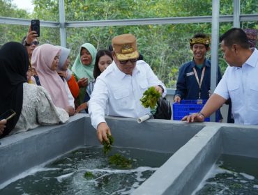 Wakil Gubernur Kepri, Nyanyang Haris Pratamura menghadiri sekaligus meresmikan Rumah Budidaya Rumput Laut kolaborasi antara ITB dan Kampung Nelayan Merah Putih di Kelurahan Sembulang, Batam, Senin (26/10/2026).