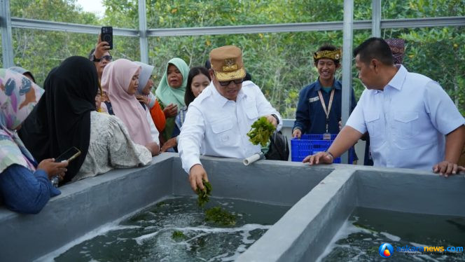 
 Perkuat Ketahanan Pangan Lokal, Wagub Nyanyang Resmikan Rumah Budidaya Rumput Laut Sembulang Batam