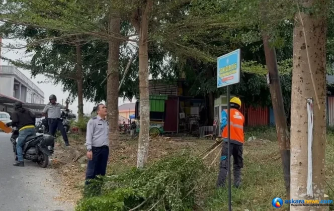 
 SI-PIJAR Dorong Efisiensi Penerangan Jalan Umum Tanjungpinang
